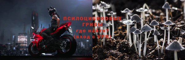 спайс Алзамай