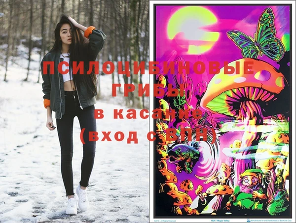 спайс Алзамай
