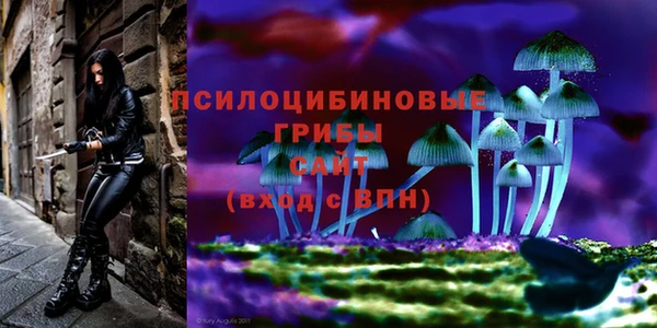 MDMA Алексин