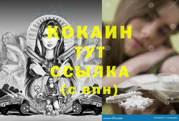 спайс Алзамай