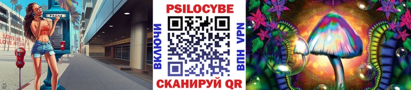 Галлюциногенные грибы Psilocybe  блэк спрут онион  Чёрмоз  дарнет шоп 